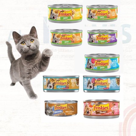 كرتونة معلبات فريسكس