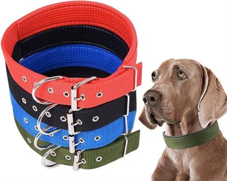 قشاط كلاب ملون