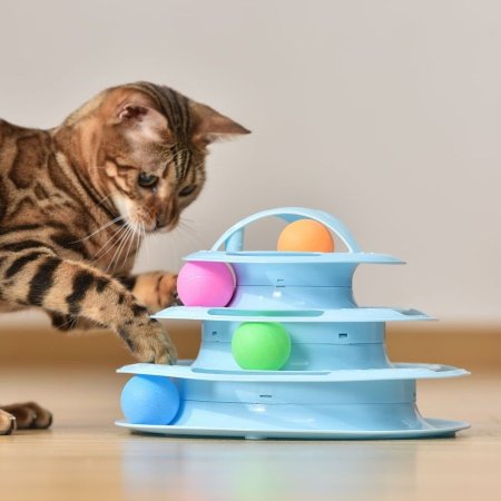 العاب قطط فراشة طبقات 1