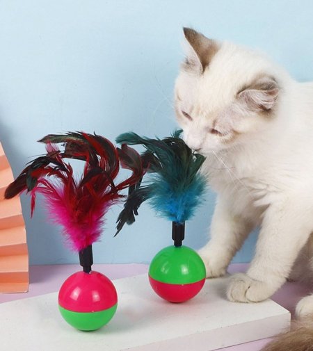 لعبة قطط طابة مع ريشة