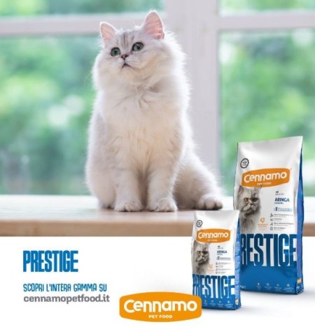 اكل قطط جديد 1.5 كغم - برستيج