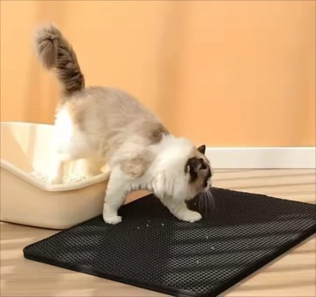 سجادة/ دعاسة لفضلات القطط 40*50 سم <br> <span class='text-color-warm'>سيتوفر قريباً</span>