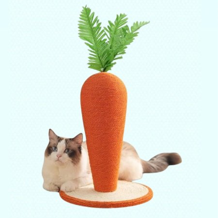 ستاند جزرة للقطط