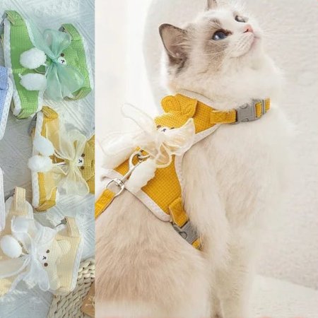 سدرية قطط دبدوب 